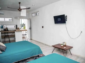 Studios erizo