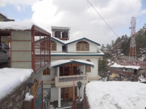 Maple Park Mashobra