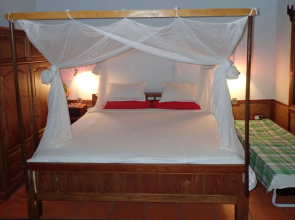Forest Floor Lodge