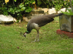 Top of the Hill Guesthouse