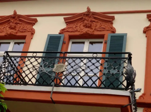 Romantik Hotel Villa Sayn