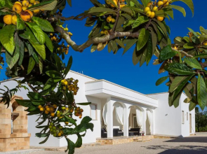 Paloma B&B