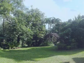 Dreamhome Chiangdao