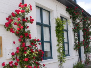 WE Maison d'hotes