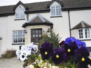 Angel House - B&B