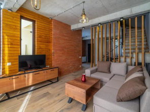 villa by sunexpress bakuriani