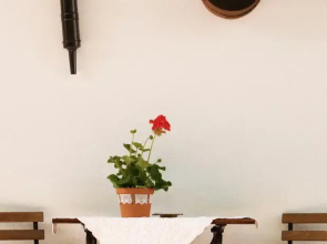 Tulipános Porta és Vendégház
