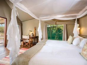 Ongava Tented Camp - All-Inclusive
