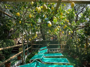 Hotel Villa Bellavista