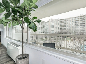 Arlington Modern Comfort Meets City Life