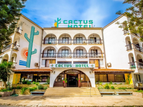 Cactus