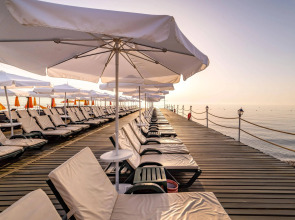 Gypsophila Club Marine