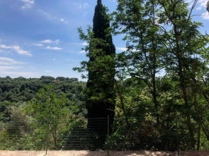 La Casa all'Oliveto