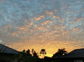 Bed & Breakfast Flores