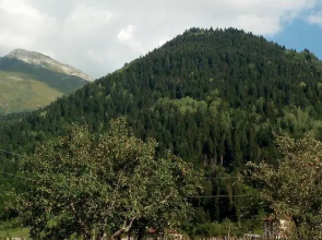 Guesthouse MAMUKA zhabesh