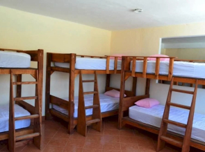 Hostel Mayan Amazons