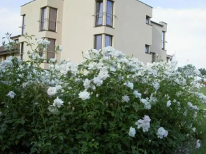 Grodzki Hotel