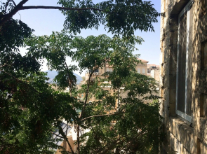 Old City Stones