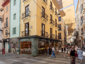 Lovely 1 bd apartment in the heart of Granada. Mesones I