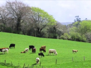 Ardtully Farmhouse