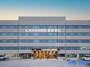 Lavande Hotel (Dezhou Qihe Economic Development Zone)