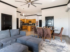 Luxury Living Modern & Contemporary Home With Brand New Pool in Manor Park