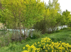 Le long du Verdon