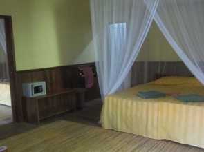 Rimba Orangutan Eco Lodge