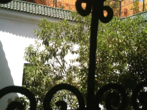 Riad Aldiana