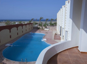 Shark paradise-Adults Only