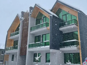 Snow Forest Bakuriani Apartment 17B