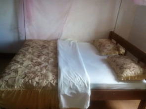Basil Guest Rooms