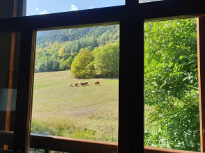 Dúplex con Jardin comunitario en Àreu Pallars Sobirà