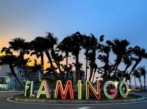 Flamingo Bau Abtel