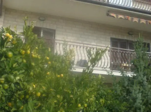 Apartments Mandarić