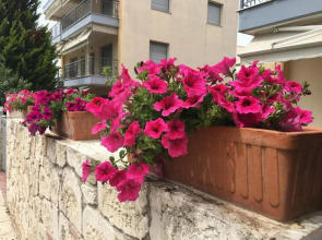 Flexible 2 floor(1st and 2nd floor) house with private parking