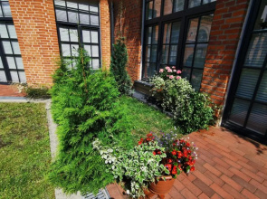 Loft Niezapominajka
