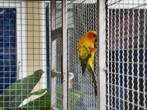 Tachang Airport Hotel