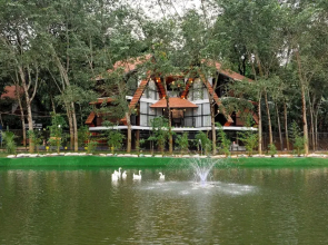 Wayanad Vista Palm View Homes