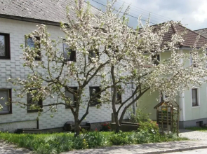 Biobauernhof Gollner