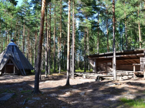 Forest Cottage