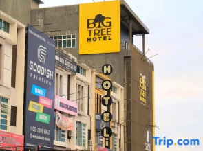 Big Tree Hotel