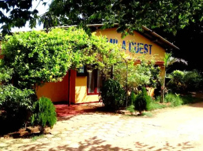 Amila Guest
