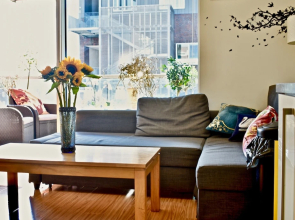 1 Bedroom Flat With Balcony in Rathmines