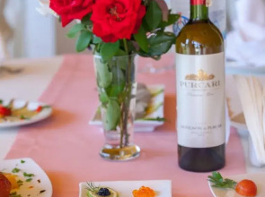 Theoxenia Messolonghi