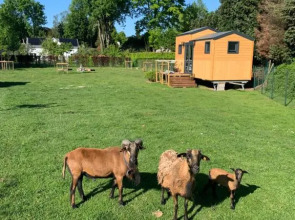 Joly Tiny House