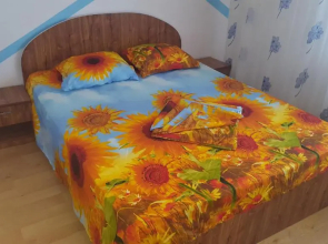 Apartament Central Strada Stefan Cel Mare Etaj 4