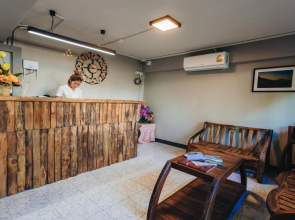 Soft Dormtel Night Bazaar