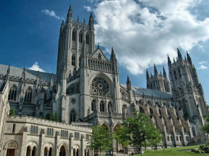 Huge Studio W/Full Kitchen | W/D | Parking