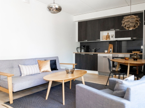 Stylish 1br with balcony in new building